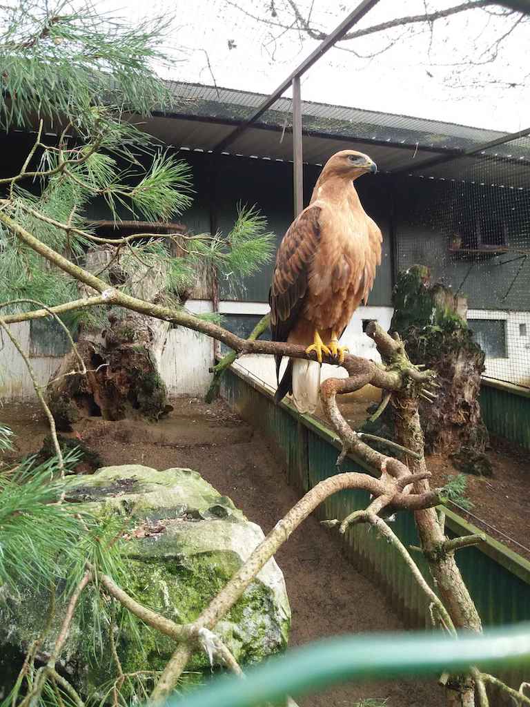 20200228_124728_compress38_0