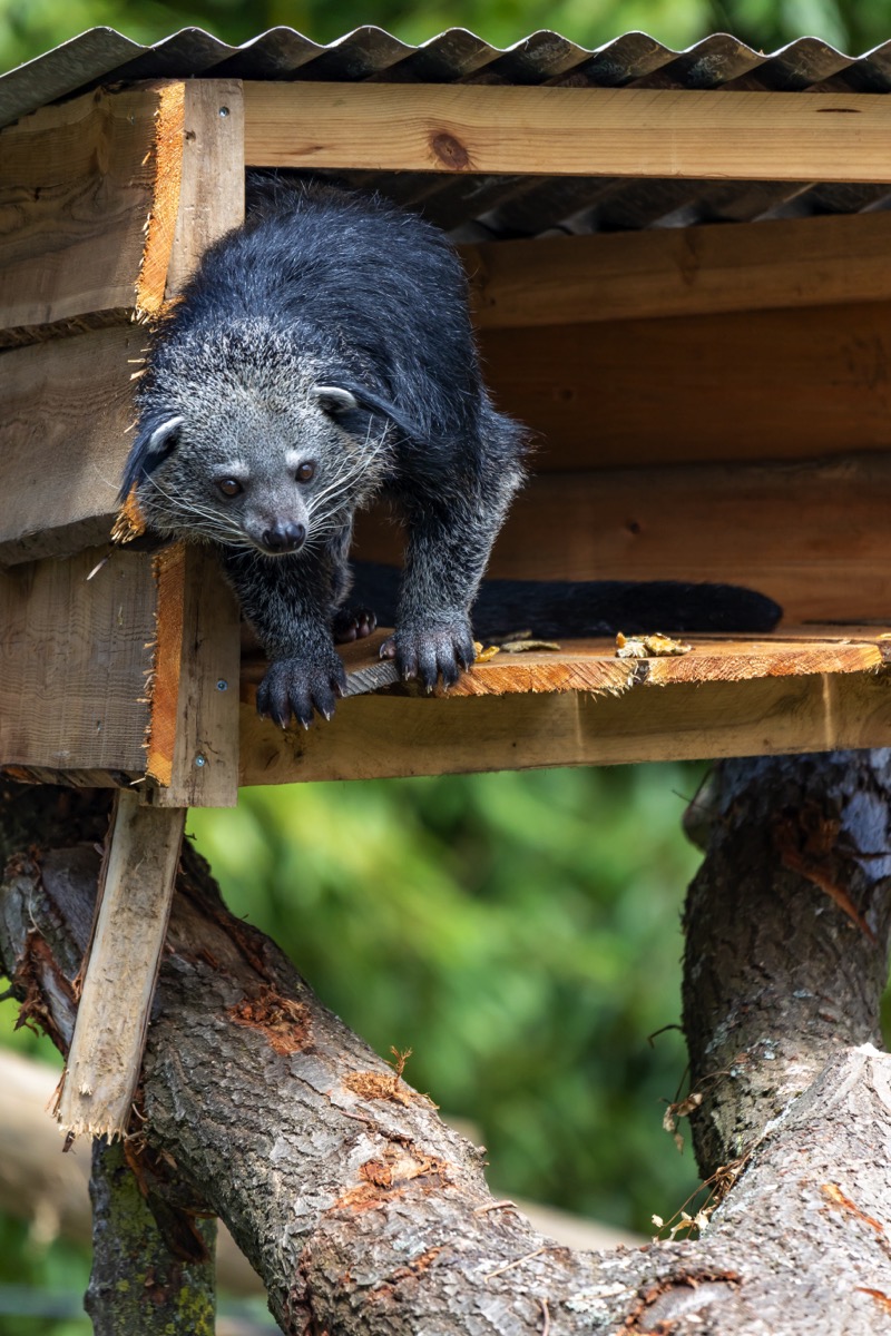 Beermarters-02_800x1200