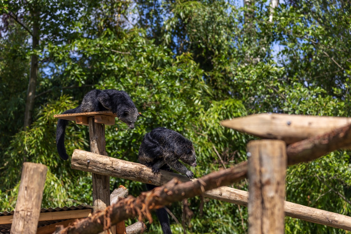 Beermarters-04_1200x800