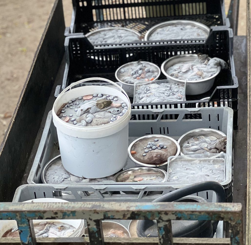 Een bak vol met dieren ijsjes.